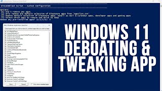 Cleanup and Debloat Your Computer with the Win11Debloat Tool [upl. by Duester453]