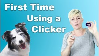 How to start CLICKER TRAINING [upl. by Llieno]