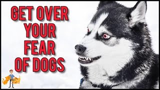 How To Get Over A Fear Of Dogs in 11 Simple Steps [upl. by Zetroc]