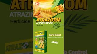 ATRAZOOM  Atrazine 50 WP Herbicide [upl. by Airolg]