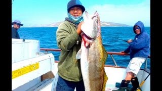 Reys personal best 40lb White Seabass at San Nicolas Island  Coral Sea Sportfishing [upl. by Ivy]