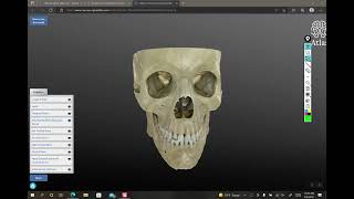 articulated skull anatomy part 1 [upl. by Nivlem]