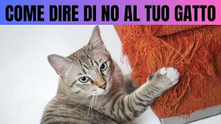 Come dire di NO al tuo gatto [upl. by Ab]