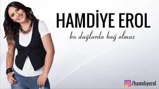 Hamdiye Erol  Bu Dağlarda Bağ Olmaz Official Audio [upl. by Rollie]