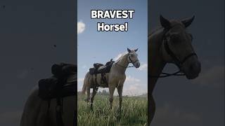 Top 4 BRAVEST Horse You Must OWN  RDR2 [upl. by Nosnhoj]