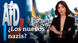 ¿Son los integrantes del partido Alternativa para Alemania los nuevos nazis [upl. by Innus]