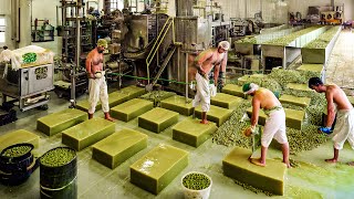 How Millions Tons of Olive Soap Bars Are Produced in the Factory  Harvesting and Processing Olives [upl. by Anilehs529]