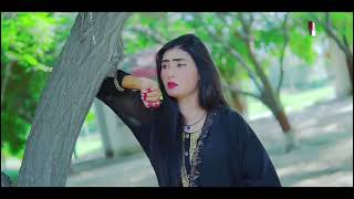 Yaad Karese Zindagi sari singer barkat Ali haidree superhit song [upl. by Imas206]