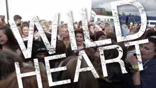 Wild Heart Official Lyric Video [upl. by Warrick809]