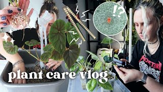 checking for pests setting up grow lights amp potting up props 🪴 Plant Chores Vlog [upl. by Charline]