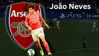 João Neves Is The Next Best Arsenal Player • Skills amp Goals 202425 [upl. by Demha]