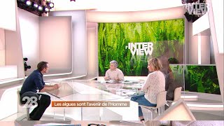 Le futur est dans les algues Vincent Doumeizel 28 Minutes ARTE [upl. by Karlow]