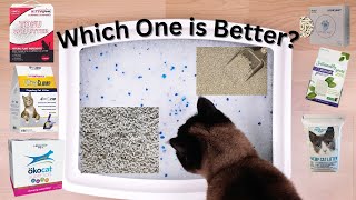 Best Cat Litter For Multiple Cats Extremely Thoroughly Tested [upl. by Lazos]