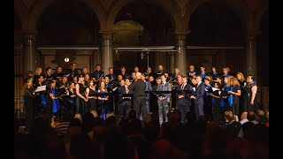 Cantus Novus Wien amp VOCES8 Miserere mei Deus  Gregorio Allegri [upl. by Kcirdorb]