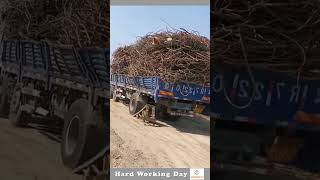 The Process Of Unloading Iron Rod From The Truck [upl. by Nilcaj414]