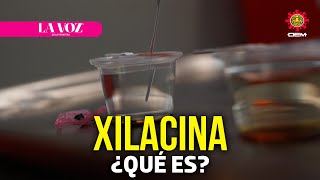 ¿Qué es la Xilacina droga detectada en Mexicali y Tijuana  La Voz de la Frontera [upl. by Azaleah]