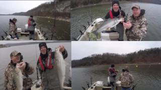 Striper fishing with ballons on Beaver Lake with fishing guides Ed Chapko and Brad Wiegmann [upl. by Teodorico702]