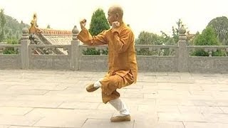 Shaolin Kung Fu Combat Styles 15 small Buddha form 小罗汉拳 xiao luohan quan [upl. by Penman]