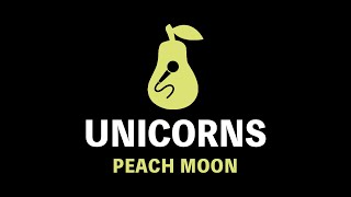 Unicorns  Peach Moon Karaoke [upl. by Adiraf187]