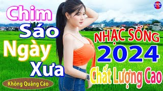 Chim Sáo Ngày Xưa ➤Top 28 Bài Nhạc Sống Đang Làm Mưa Làm Gió Các BXH  Mở To Hết Cỡ Phê Sởn Da Gà [upl. by Heidt917]