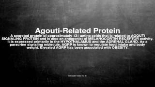 Medical vocabulary What does AgoutiRelated Protein mean [upl. by Aneetak]