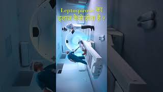 Leptospirosis का इलाज कैसे होता है   youtubeshorts health leptospirosis shortsviral [upl. by Kristoffer]