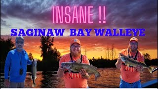 INSANE Saginaw Bay Walleye Fishing [upl. by Einnim]