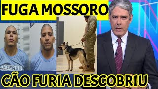 FUGA DE MOSSORÓ CÃO FURIA ENCONTRA FORAGIDOS [upl. by Drugge934]