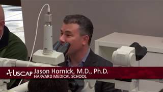 USCAP Jason Hornicks Deep Soft Tissue Tumors Spindle Cell Tumors [upl. by Kurys]