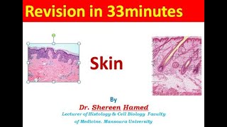 5 skin revision 2021 [upl. by Kamaria]