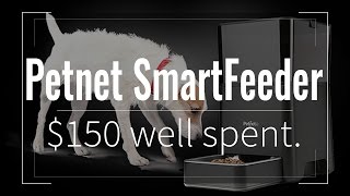 Petnet SmartFeeder The Best Use Of 150 If you have a pet [upl. by Enyal]