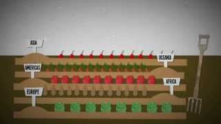 What is food insecurity An explanation [upl. by Annoda]