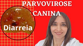 PARVOVIROSE CANINA Veterinária explica tudo [upl. by Ramedlaw]