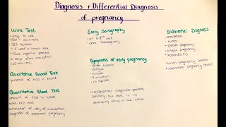 pregnancy diagnosis amp differential diagnosis [upl. by Girish]