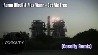 AARON HIBELL amp ALEX WANN  SET ME FREE COSOLTY REMIX  DRUM amp BASS [upl. by Ahseirej]