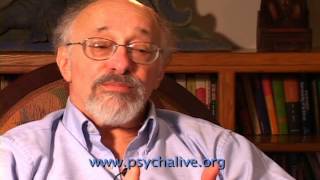 Dr Allan Schore on the physiological impact of dissociation [upl. by Eledoya]