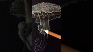 Drawing a Realistic Field Mushroom 🍄  NatureInspired Colored Pencil Art [upl. by Codi]