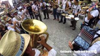 Siamo in provincia di Vercelli a Gattinara per la festa delluva [upl. by Luckin]