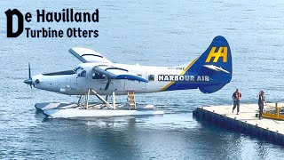 Amazing Seaplane Trip to Vancouver  Harbour Air [upl. by Castillo]