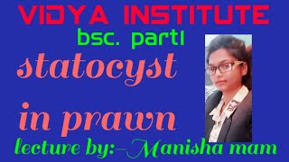 Statocyst in prawnpalaemon ByManisha mam [upl. by Ackley]