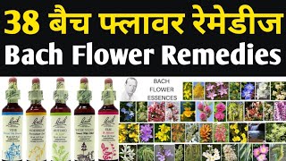 38 Bach Flowers Bach flower remedies benefits Dr Edward Bach [upl. by Goodyear]