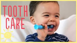 TIPS  TODDLER TOOTH CARE w pediatric dentist [upl. by Timofei830]