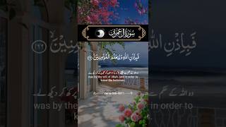 shortvideo quransurah capcut surah quran muhammadﷺ natur [upl. by Hplar]