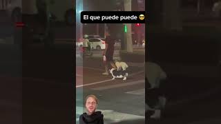 Perrito arriba del otro perrio 😆😆😆 perritos humor meme [upl. by Saxon748]