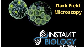 Dark Field Microscopy [upl. by Barlow]