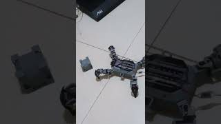 Quadruped robot ESP32 CAM aduino mega [upl. by Mihe]