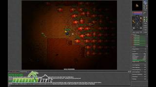 Tibia Gameplay  First Look HD [upl. by Richma611]