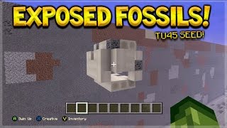 EXPOSED FOSSILS TU45 SEED  Minecraft Console Edition  Unique Fossil Seed  Spawners [upl. by Applegate]