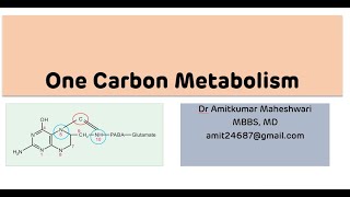 One Carbon Metabolism  Biochemistry  NEET PG [upl. by Sherlocke]