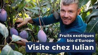 Découvre des fruits exotiques bio dEurope [upl. by Ggerc]